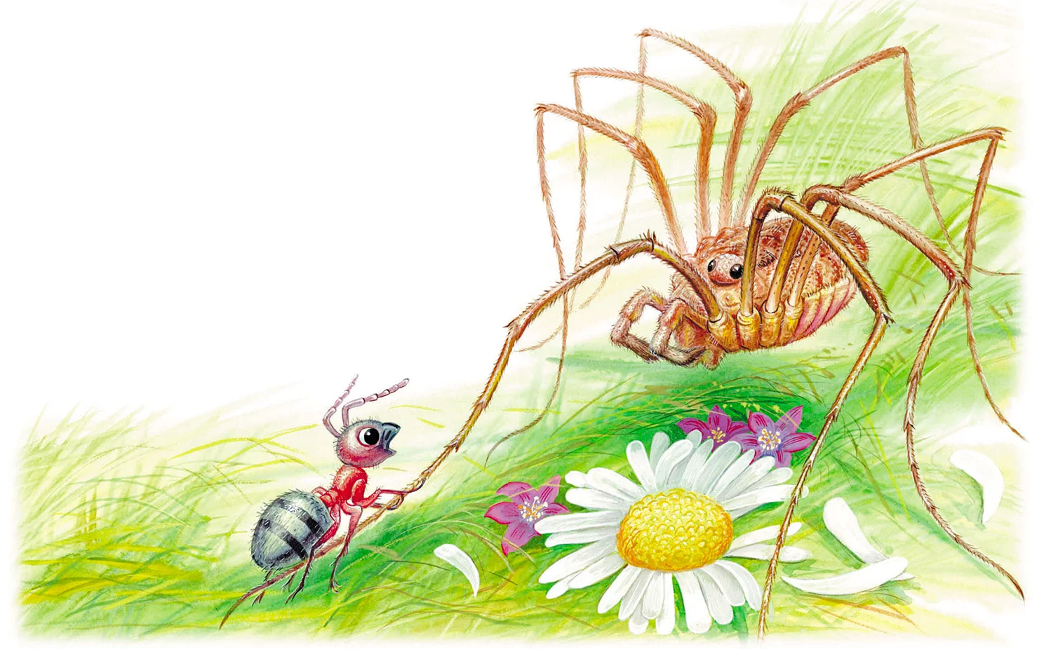 Приключения муравьишки Бианки паук сенокосец