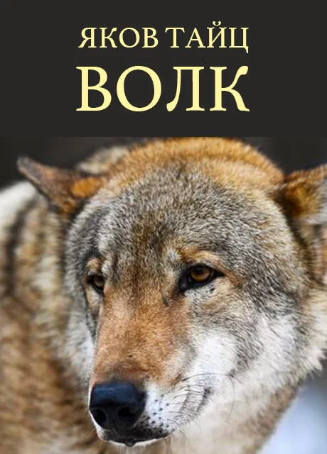 Волк - Тайц Я.М. читать бесплатно на m1r.ru