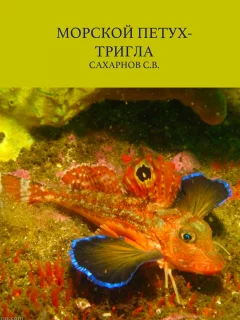 Морской петух-тригла - Сахарнов С.В. читать бесплатно