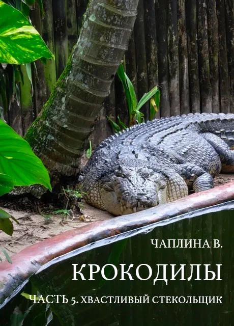 Крокодилы - часть 5. Хвастливый стекольщик - Чаплина В. читать бесплатно на m1r.ru