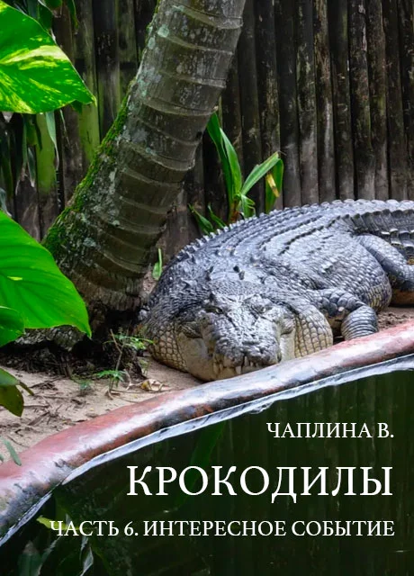 Крокодилы - часть 6. Интересное событие - Чаплина В. читать бесплатно на m1r.ru