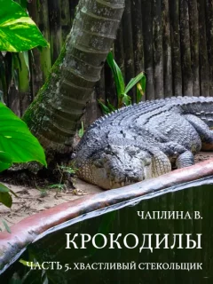Крокодилы - часть 5. Хвастливый стекольщик - Чаплина В. читать бесплатно