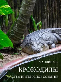 Крокодилы - часть 6. Интересное событие - Чаплина В. читать бесплатно