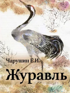 Журавль - Чарушин Е.И. читать бесплатно