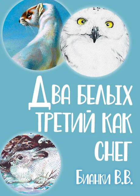 Два белых, третий - как снег - Бианки В.В. читать бесплатно на m1r.ru