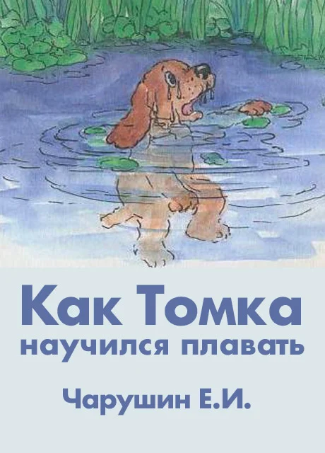 Как Томка научился плавать - Чарушин Е.И. читать бесплатно на m1r.ru