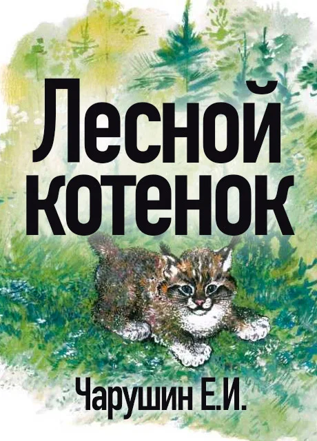 Лесной котенок - Чарушин Е.И. читать бесплатно на m1r.ru