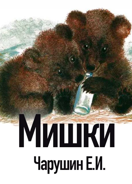 Мишки - Чарушин Е.И. читать бесплатно на m1r.ru