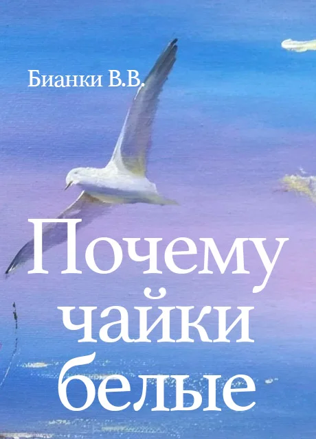 Почему чайки белые - Бианки В.В. читать бесплатно на m1r.ru