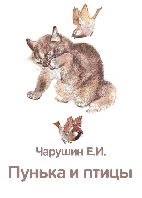 Пунька и птицы - Чарушин Е.И. читать бесплатно на m1r.ru