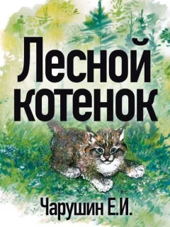 Лесной котенок - Чарушин Е.И. читать бесплатно