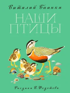 Наши птицы - Бианки В.В. читать бесплатно
