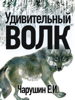 Удивительный волк - Чарушин Е.И. читать бесплатно