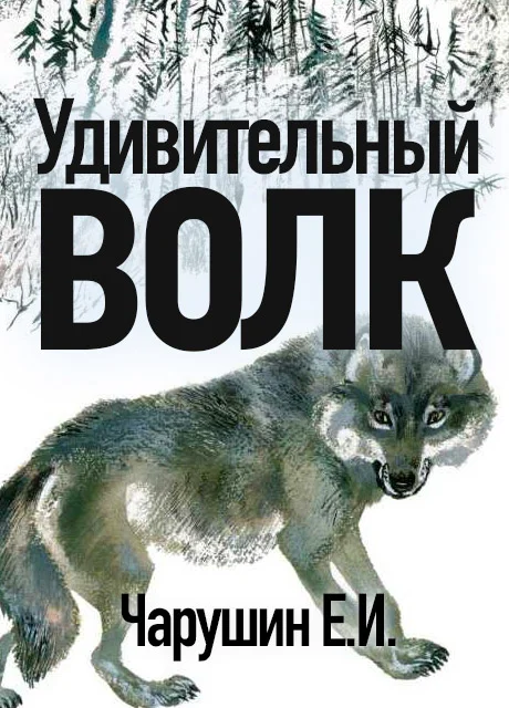 Удивительный волк - Чарушин Е.И. читать бесплатно на m1r.ru