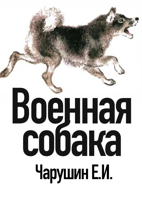 Военная собака - Чарушин Е.И. читать бесплатно на m1r.ru