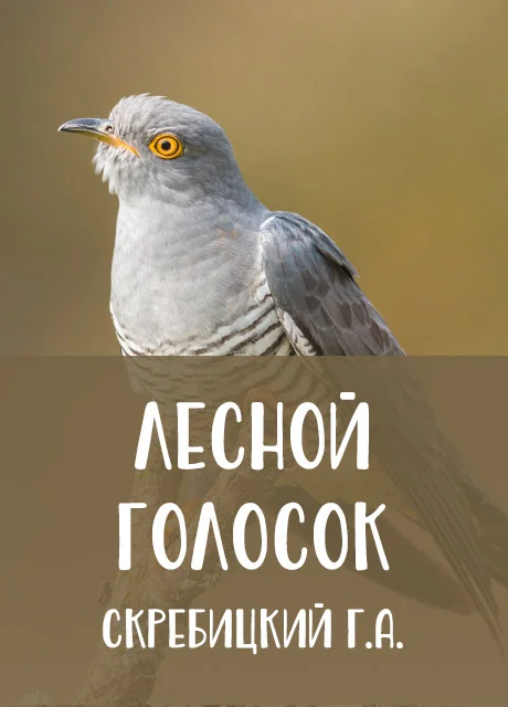 Лесной голосок - Скребицкий Г.А. читать бесплатно на m1r.ru