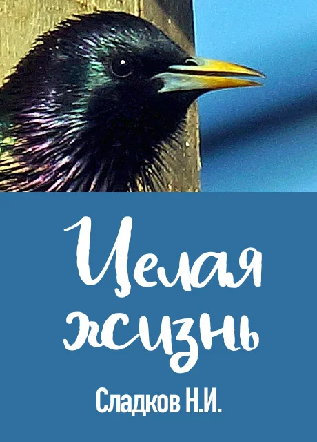 Целая жизнь - Сладков Н.И. читать бесплатно на m1r.ru