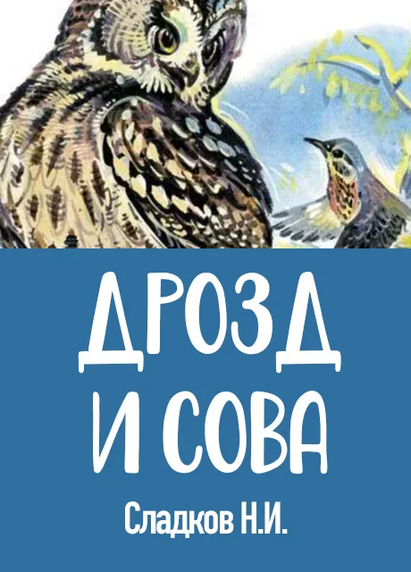 Дрозд и сова - Сладков Н.И. читать бесплатно на m1r.ru
