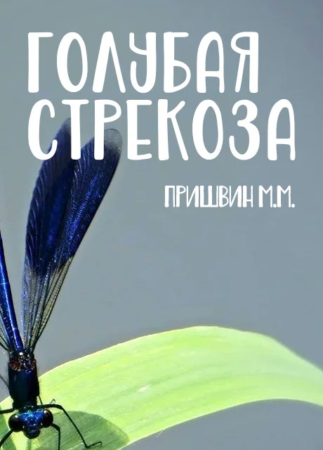 Голубая стрекоза - Пришвин М.М. читать бесплатно на m1r.ru