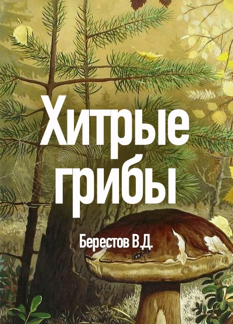 Хитрые грибы - Берестов В.Д. читать бесплатно на m1r.ru