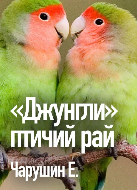 «Джунгли» — птичий рай - Чарушин Е.И. читать бесплатно на m1r.ru