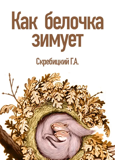 Как белочка зимует - Скребицкий Г.А. читать бесплатно на m1r.ru