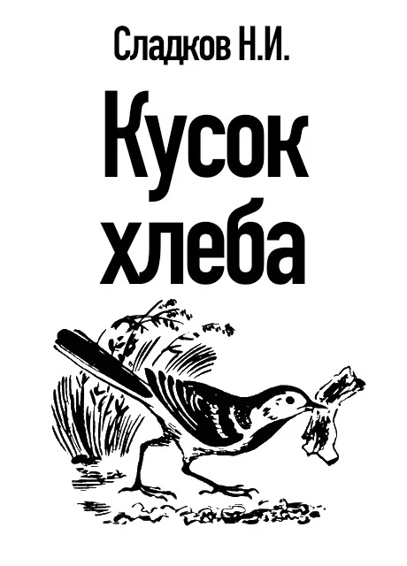 Кусок хлеба - Сладков Н.И. читать бесплатно на m1r.ru