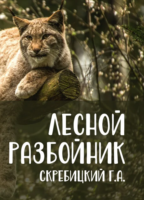 Лесной разбойник - Скребицкий Г.А. читать бесплатно на m1r.ru