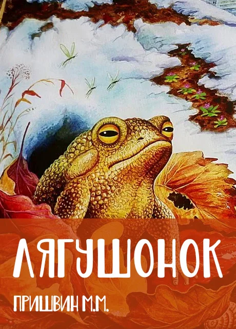 Лягушонок - Пришвин М.М. читать бесплатно на m1r.ru