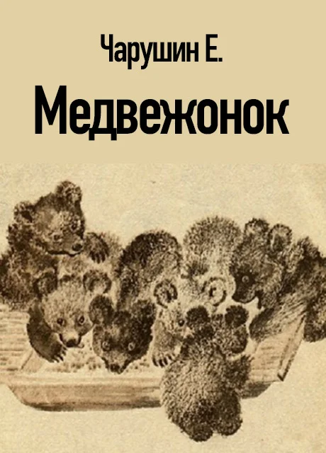 Медвежонок - Чарушин Е.И. читать бесплатно на m1r.ru