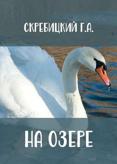 На озере - Скребицкий Г.А. читать бесплатно на m1r.ru