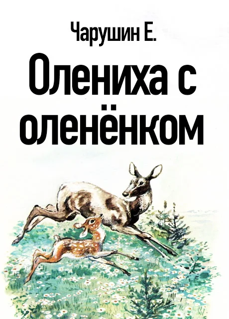 Олениха с оленёнком - Чарушин Е.И. читать бесплатно на m1r.ru