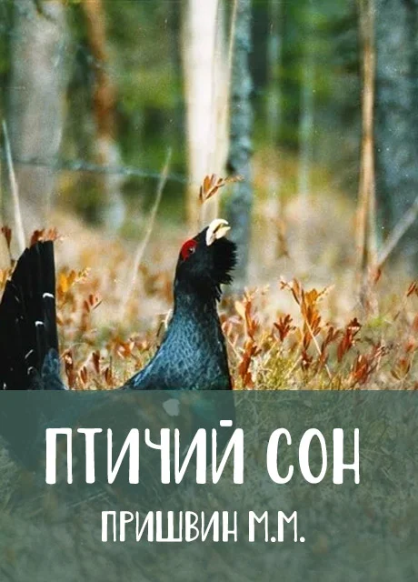 Птичий сон - Пришвин М.М. читать бесплатно на m1r.ru