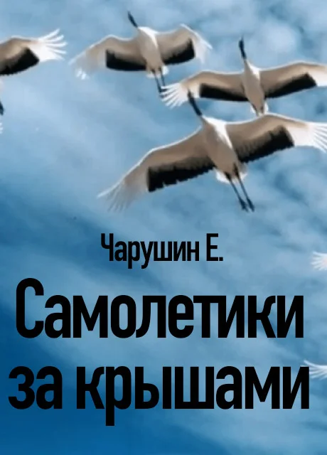 Самолетики за крышами - Чарушин Е.И. читать бесплатно на m1r.ru