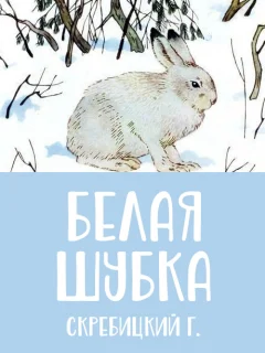 Белая шубка - Скребицкий Г.А. читать бесплатно