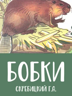 Бобки - Скребицкий Г.А. читать бесплатно