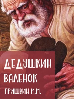 Дедушкин валенок - Пришвин М.М. читать бесплатно