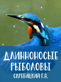 Длинноносые рыболовы - Скребицкий Г.А. читать бесплатно