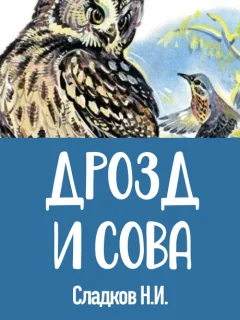 Дрозд и сова - Сладков Н.И. читать бесплатно