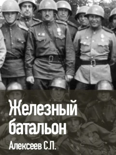 Железный батальон - Алексеев С.П. читать бесплатно