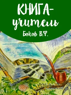 Книга - учитель - Боков В.Ф. читать бесплатно