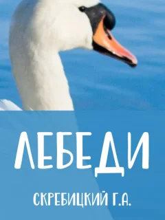 Лебеди - Скребицкий Г.А. читать бесплатно