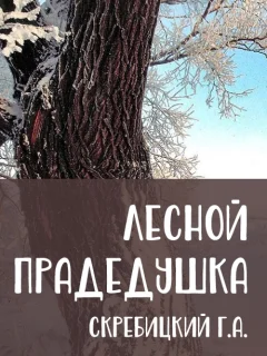 Лесной прадедушка - Скребицкий Г.А. читать бесплатно