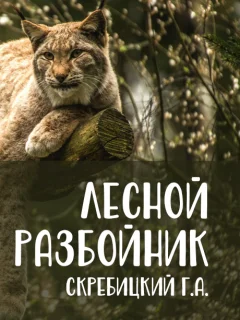 Лесной разбойник - Скребицкий Г.А. читать бесплатно