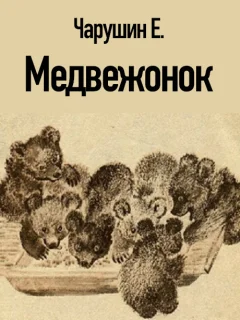 Медвежонок - Чарушин Е.И. читать бесплатно