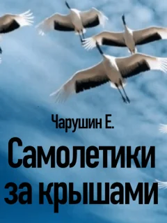 Самолетики за крышами - Чарушин Е.И. читать бесплатно