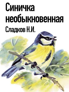 Синичка необыкновенная - Сладков Н.И. читать бесплатно