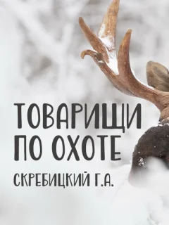 Товарищи по охоте - Скребицкий Г.А. читать бесплатно