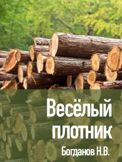 Весёлый плотник - Богданов Н.В. читать бесплатно