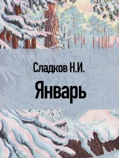 Январь - Сладков Н.И. читать бесплатно